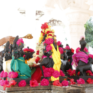 Nakshatra Shanti Homa