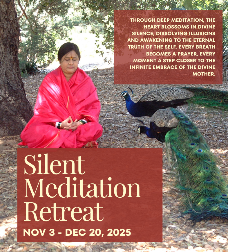 Meditation Retreat Nov 3 - Dec 27, 2025 (2)